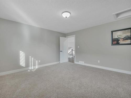 1253 Adamson Drive, Edmonton, AB - Indoor Photo Showing Other Room