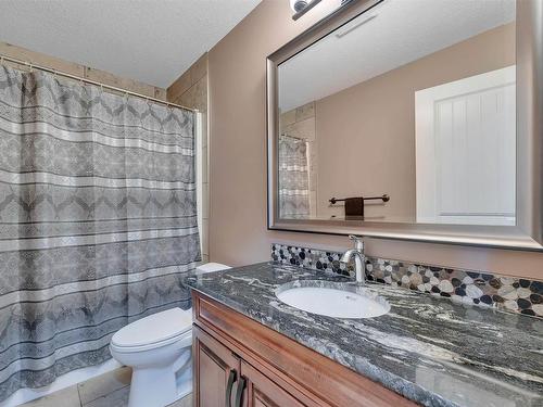 1253 Adamson Drive, Edmonton, AB - Indoor Photo Showing Bathroom