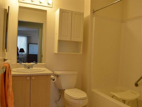 436 13441 127 Street, Edmonton, AB - Indoor Photo Showing Bathroom