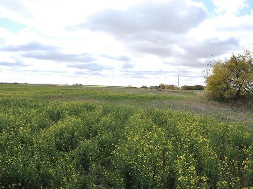 North Pt Of Nw-28-53-15-W4, Rural Minburn County, AB 