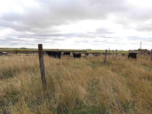 53431 Rge Rd 154, Rural Minburn County, AB 