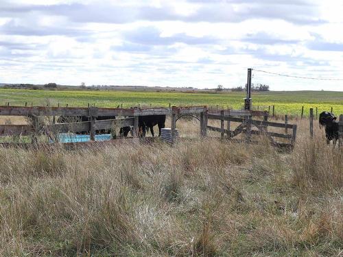 53431 Rge Rd 154, Rural Minburn County, AB 