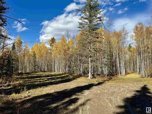 8408A Twp Rd 503, Rural Brazeau County, AB 