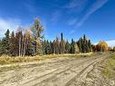 8408A Twp Rd 503, Rural Brazeau County, AB 