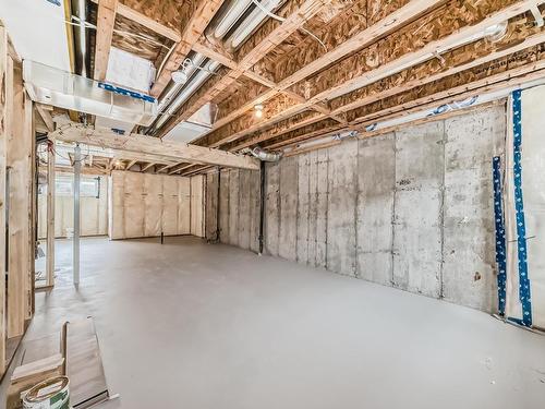 3344 168 Street, Edmonton, AB - Indoor Photo Showing Basement