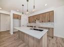 3346 168 Street, Edmonton, AB  - Indoor Photo Showing Kitchen With Double Sink 