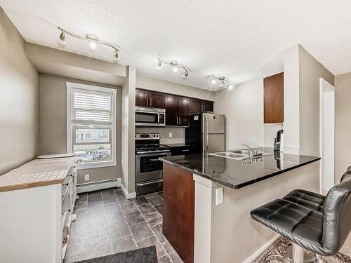 202 5390 Chappelle Road, Edmonton, AB - Indoor Photo Showing Kitchen With Double Sink