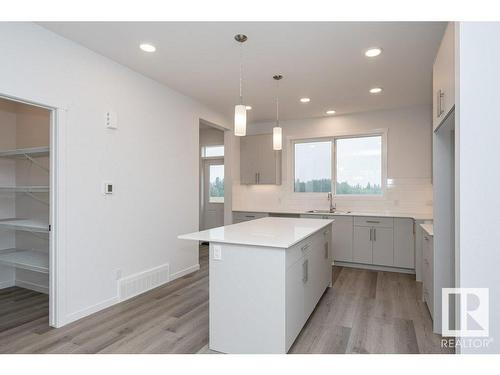 2433 Trumpeter Way, Edmonton, AB - Indoor Photo Showing Kitchen With Double Sink With Upgraded Kitchen