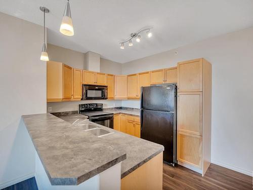 318 2503 Hanna Crescent, Edmonton, AB - Indoor Photo Showing Kitchen With Double Sink