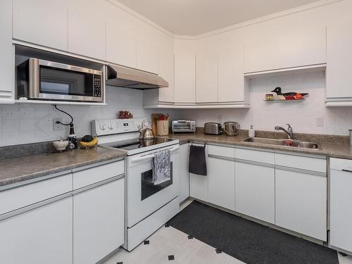 10636 29 Avenue, Edmonton, AB - Indoor Photo Showing Kitchen With Double Sink