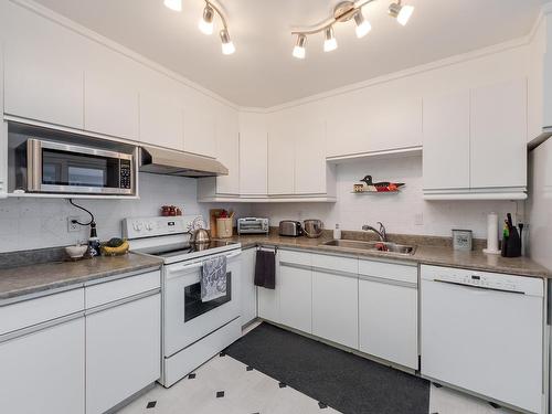 10636 29 Avenue, Edmonton, AB - Indoor Photo Showing Kitchen With Double Sink