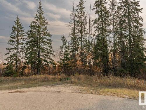 6 51112 Rge Rd 260, Rural Parkland County, AB 