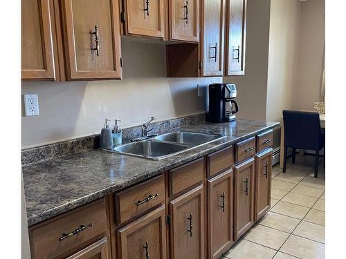 204 10939 109 Street, Edmonton, AB - Indoor Photo Showing Kitchen With Double Sink