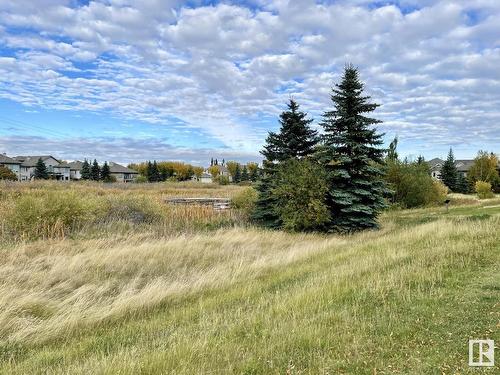 925 Hollingsworth Bend, Edmonton, AB - Outdoor With View