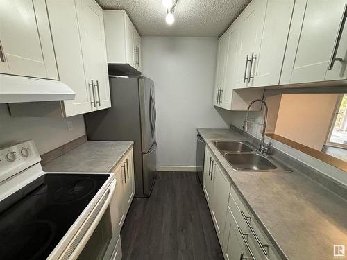 217 17109 67 Avenue, Edmonton, AB - Indoor Photo Showing Kitchen With Double Sink