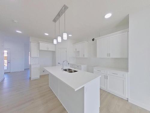 432 29 Street, Edmonton, AB - Indoor Photo Showing Kitchen With Double Sink