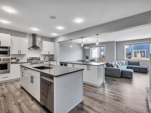 2543 204 Street, Edmonton, AB - Indoor Photo Showing Kitchen With Double Sink With Upgraded Kitchen