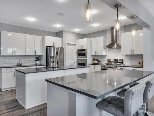 2543 204 Street, Edmonton, AB - Indoor Photo Showing Kitchen With Upgraded Kitchen