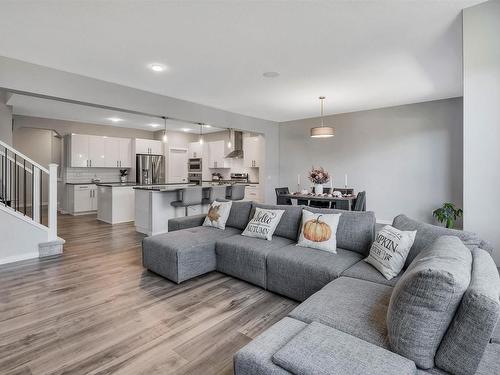 2543 204 Street, Edmonton, AB - Indoor Photo Showing Living Room