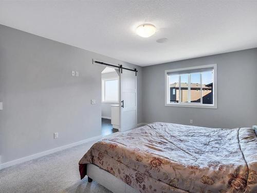 2543 204 Street, Edmonton, AB - Indoor Photo Showing Bedroom