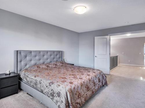 2543 204 Street, Edmonton, AB - Indoor Photo Showing Bedroom