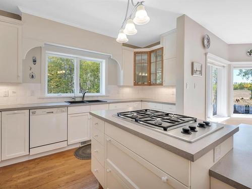 51213 Rr222, Rural Strathcona County, AB - Indoor Photo Showing Kitchen With Double Sink