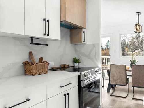 37 Royal Road, Edmonton, AB - Indoor Photo Showing Kitchen