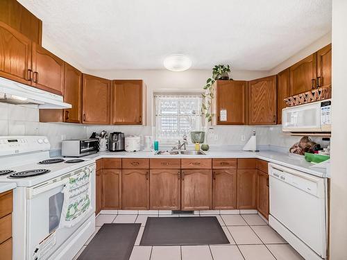 19032 56 Avenue Nw, Edmonton, AB - Indoor Photo Showing Kitchen With Double Sink