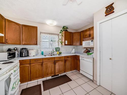 19032 56 Avenue Nw, Edmonton, AB - Indoor Photo Showing Kitchen With Double Sink