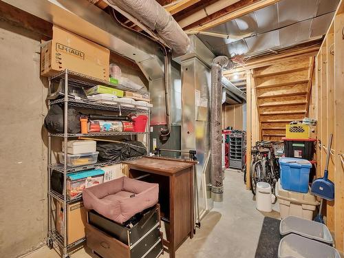 6 841 156 Street, Edmonton, AB - Indoor Photo Showing Basement