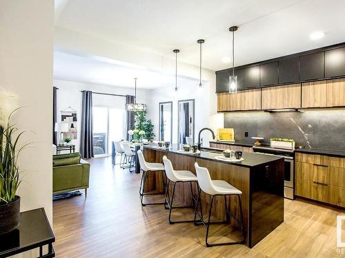 335 29 Street, Edmonton, AB - Indoor Photo Showing Kitchen With Upgraded Kitchen