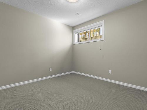 2216 Stan Waters Avenue, Edmonton, AB - Indoor Photo Showing Other Room