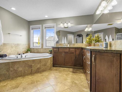 2216 Stan Waters Avenue, Edmonton, AB - Indoor Photo Showing Bathroom