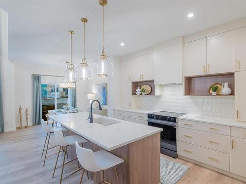 435 29 Street, Edmonton, AB - Indoor Photo Showing Kitchen With Upgraded Kitchen