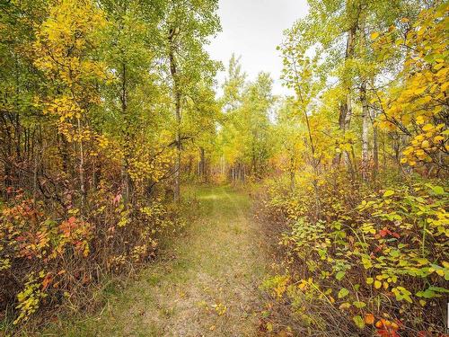 1040 50242 Rge Road 244 A, Rural Leduc County, AB - Outdoor