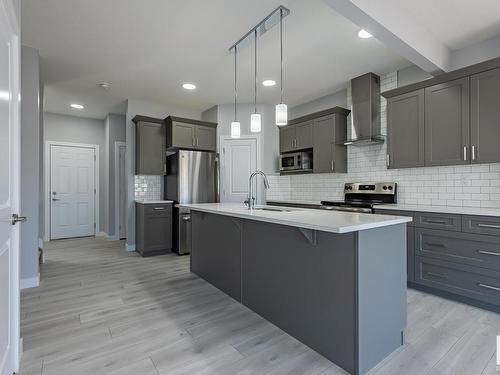 19127 29 Avenue, Edmonton, AB - Indoor Photo Showing Kitchen With Upgraded Kitchen