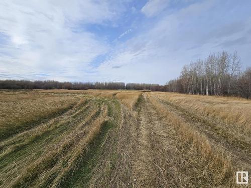 Ne 8-48-6-W5, Rural Brazeau County, AB 