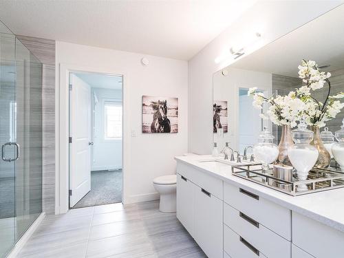 3609 Keswick Boulevard, Edmonton, AB - Indoor Photo Showing Bathroom