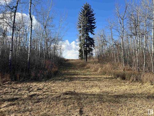 Hwy 651 Lily Lake Rd, Rural Sturgeon County, AB 