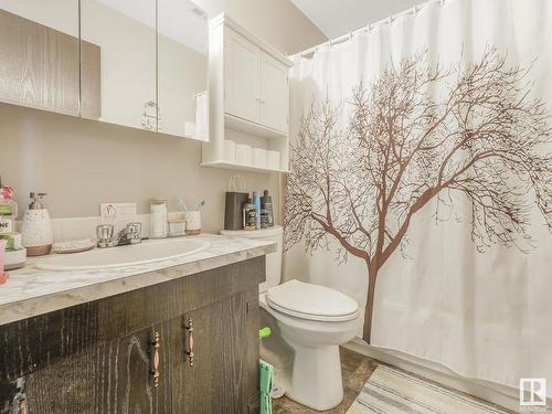 6 Willowdale Place, Edmonton, AB - Indoor Photo Showing Bathroom