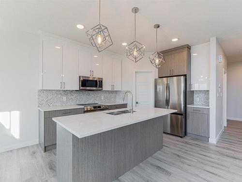 101 Edgefield Way, St. Albert, AB - Indoor Photo Showing Kitchen With Double Sink With Upgraded Kitchen