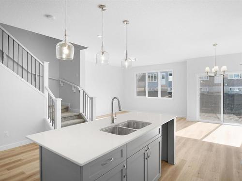 2025 209A Street, Edmonton, AB - Indoor Photo Showing Kitchen With Double Sink With Upgraded Kitchen