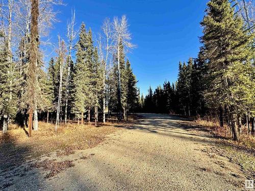 8402 Township 503, Rural Brazeau County, AB 