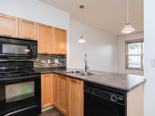 2-106 4245 139 Avenue, Edmonton, AB - Indoor Photo Showing Kitchen With Double Sink