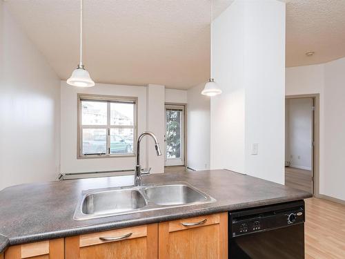 2-106 4245 139 Avenue, Edmonton, AB - Indoor Photo Showing Kitchen With Double Sink