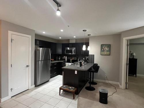 310 1031 173 Street, Edmonton, AB - Indoor Photo Showing Kitchen With Stainless Steel Kitchen