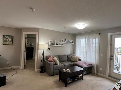 310 1031 173 Street, Edmonton, AB - Indoor Photo Showing Living Room