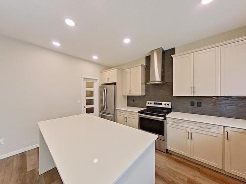 19616 26 Avenue, Edmonton, AB - Indoor Photo Showing Kitchen With Stainless Steel Kitchen