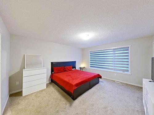 19616 26 Avenue, Edmonton, AB - Indoor Photo Showing Bedroom