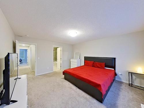 19616 26 Avenue, Edmonton, AB - Indoor Photo Showing Bedroom